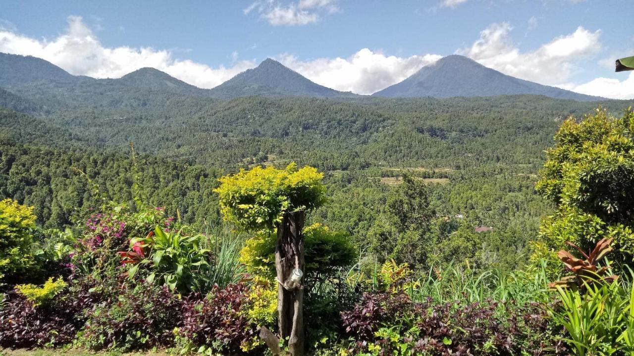 Made Oka Homestay And Warung Munduk Εξωτερικό φωτογραφία