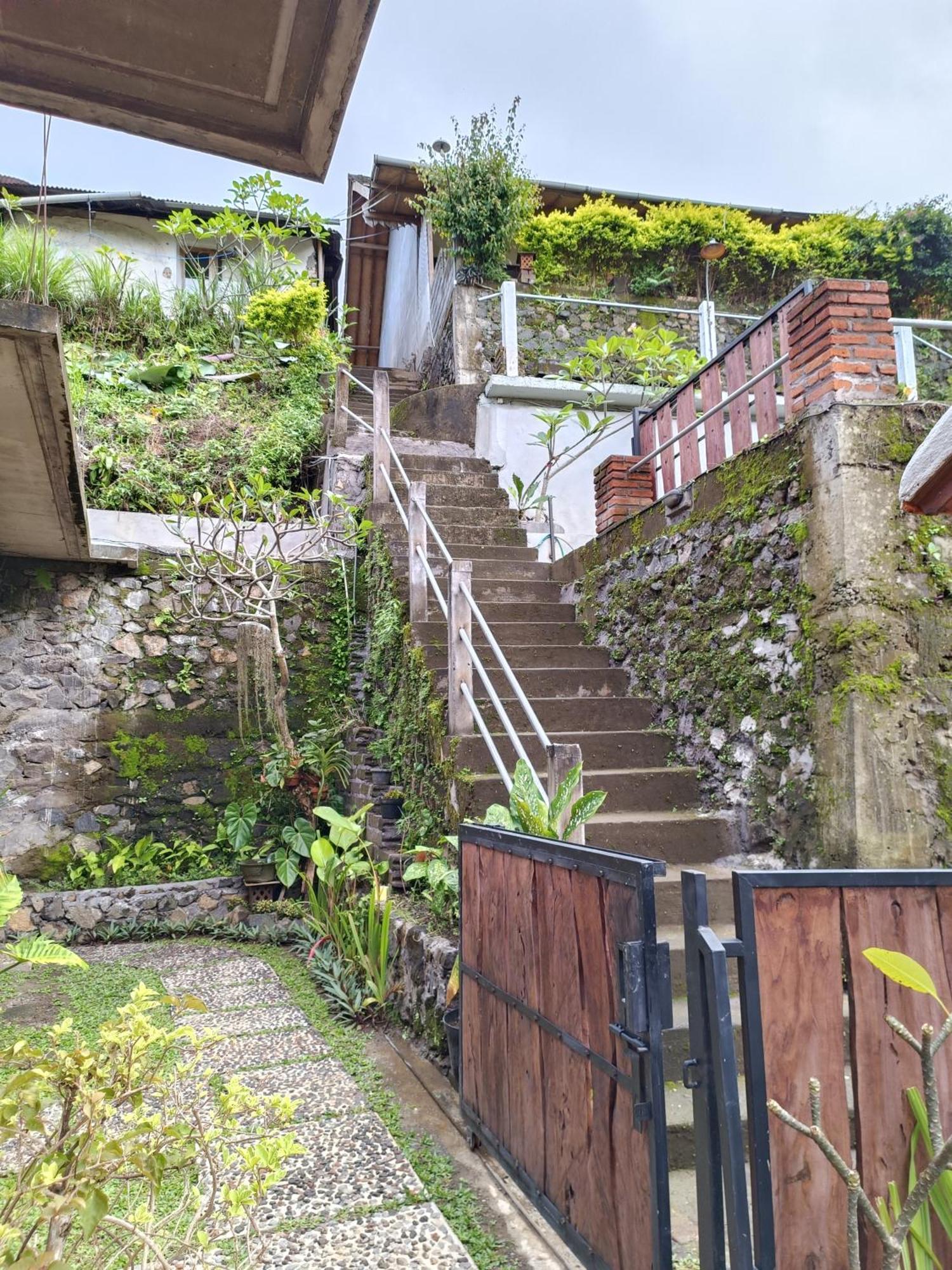 Made Oka Homestay And Warung Munduk Εξωτερικό φωτογραφία