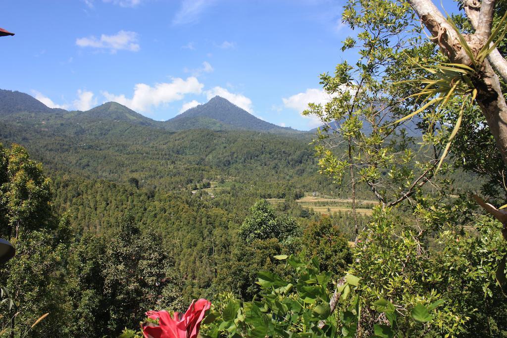 Made Oka Homestay And Warung Munduk Εξωτερικό φωτογραφία